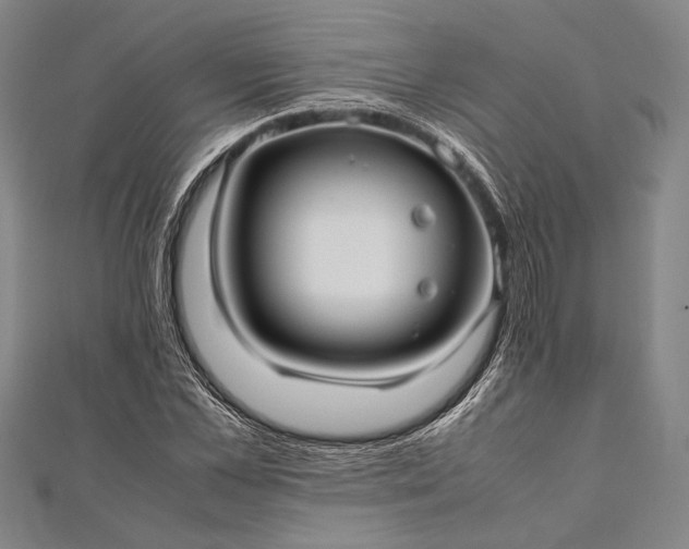 X0000112370973200908271314