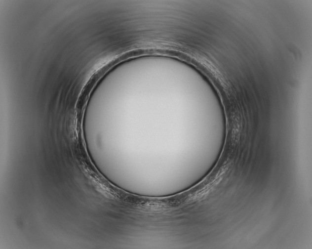 X0000112370974200908271314