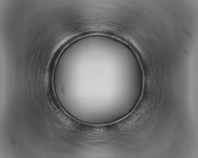 X0000112370975200908271314