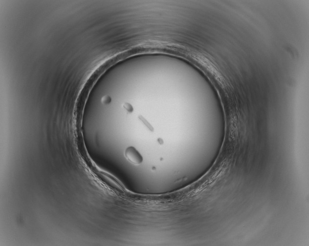 X0000112370976200908271314