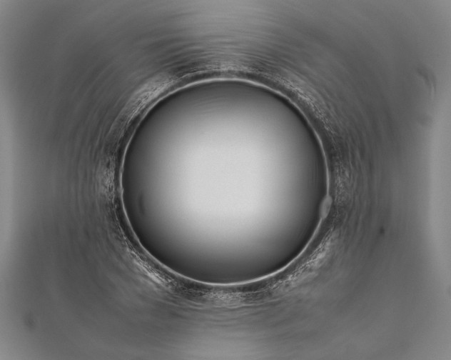 X0000112370977200908271314