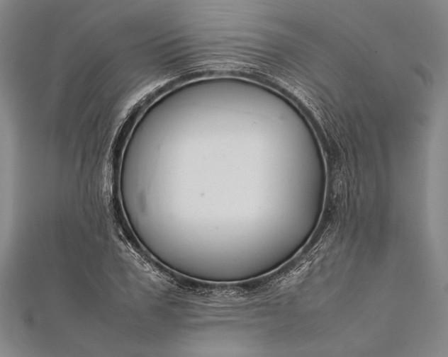 X0000112370979200908271314