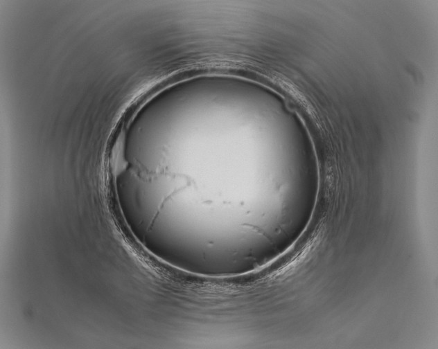 X0000112370981200908271314