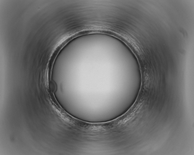 X0000112370982200908271314