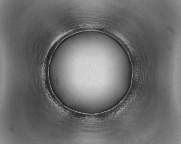 X0000112370983200908271314