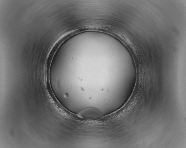 X0000112370984200908271314