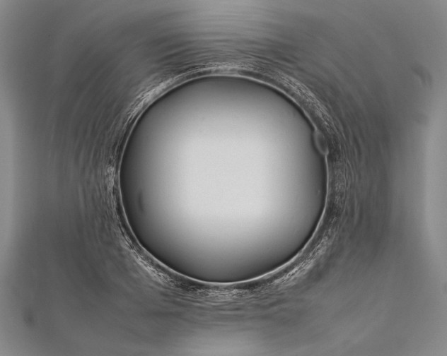 X0000112370985200908271314