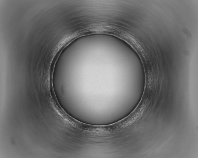 X0000112370986200908271314