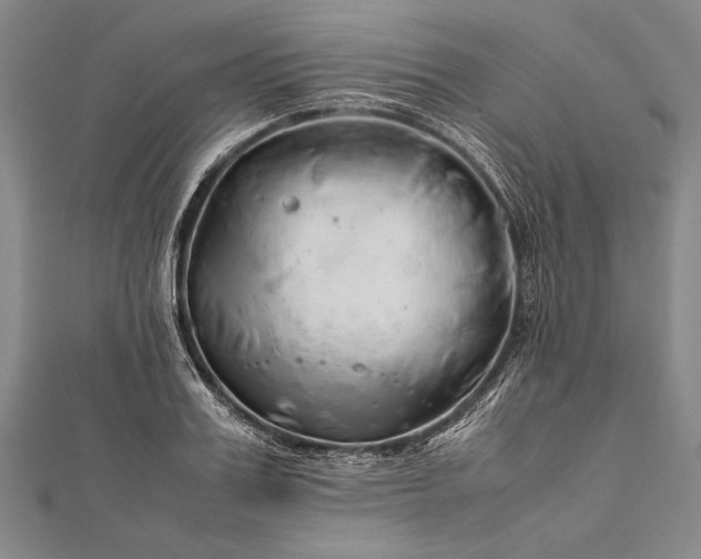 X0000112370987200908271314