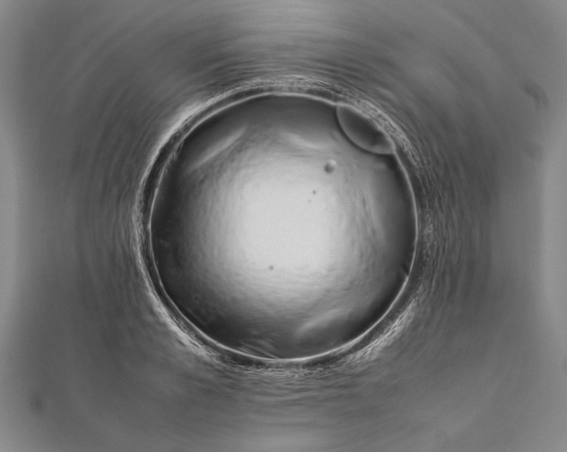 X0000112370989200908271314