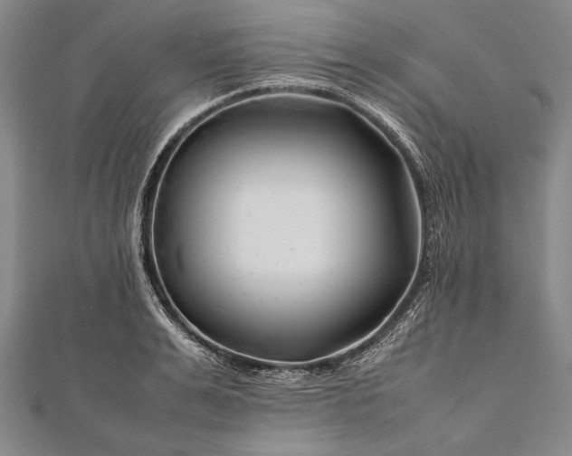 X0000112370991200908271314