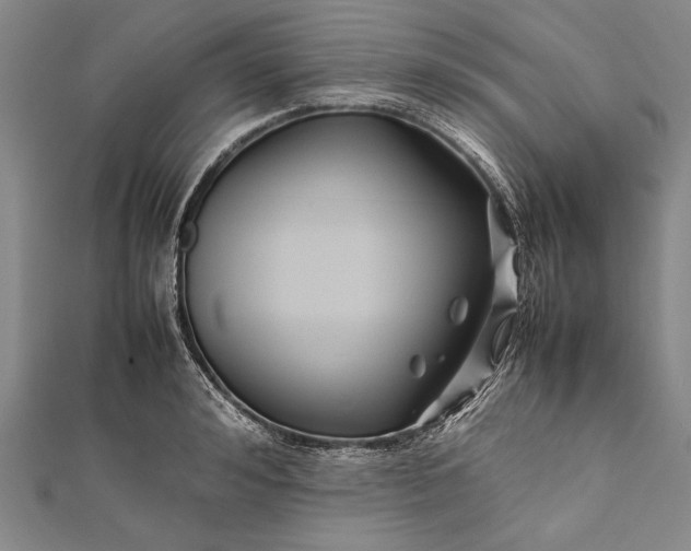 X0000112370992200908271314