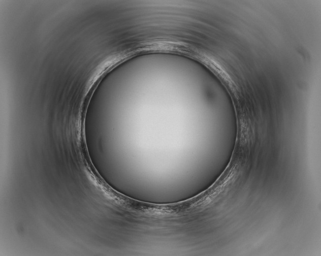 X0000112370994200908271314