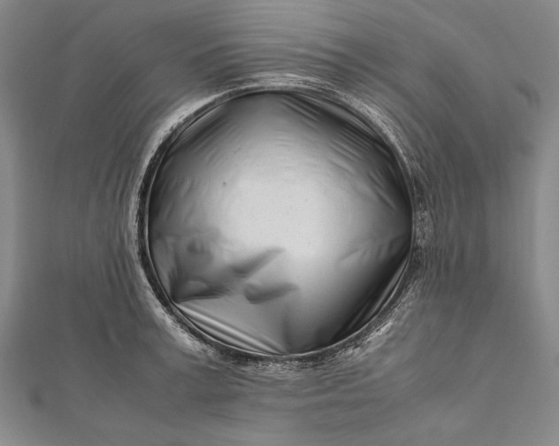 X0000112370995200908271314