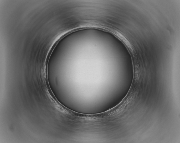 X0000112370996200908271314