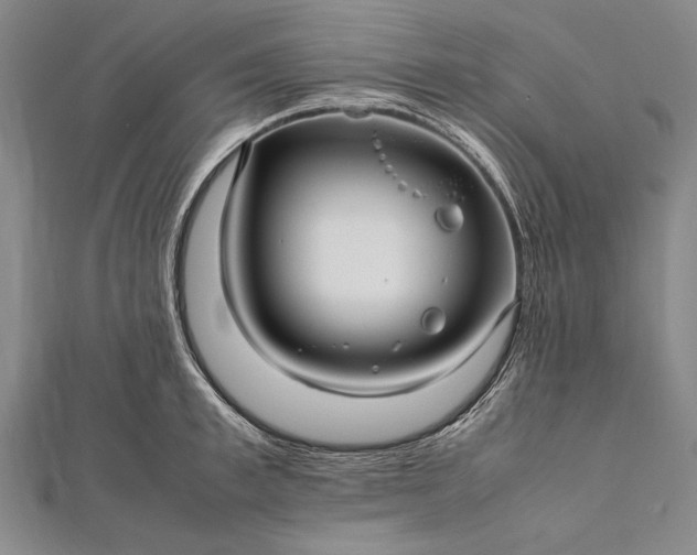 X0000112370997200908271314