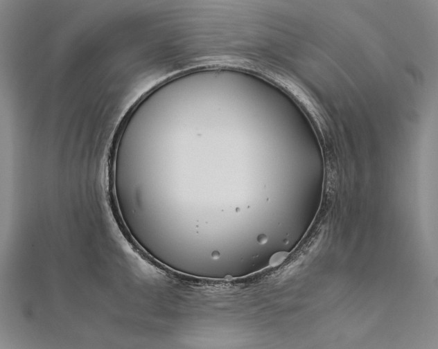 X0000112370999200908271314