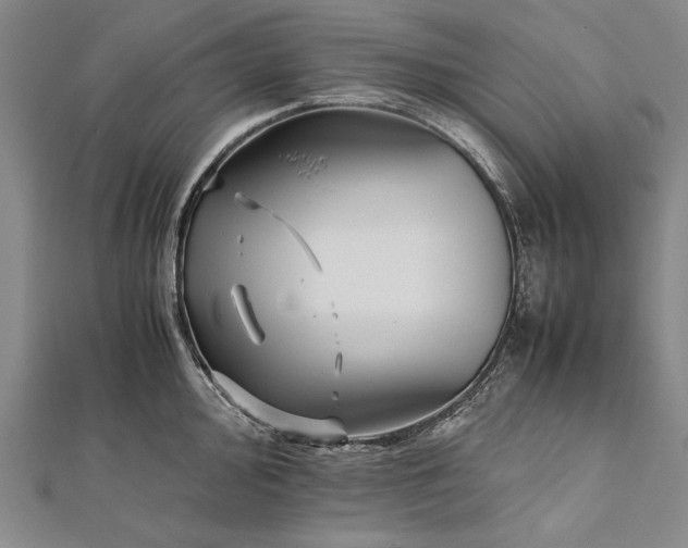 X0000112371000200908271314