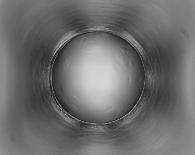 X0000112371002200908271314