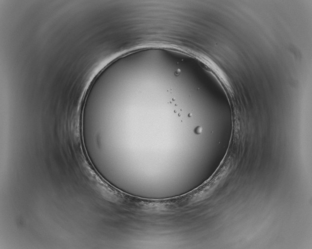 X0000112371004200908271314