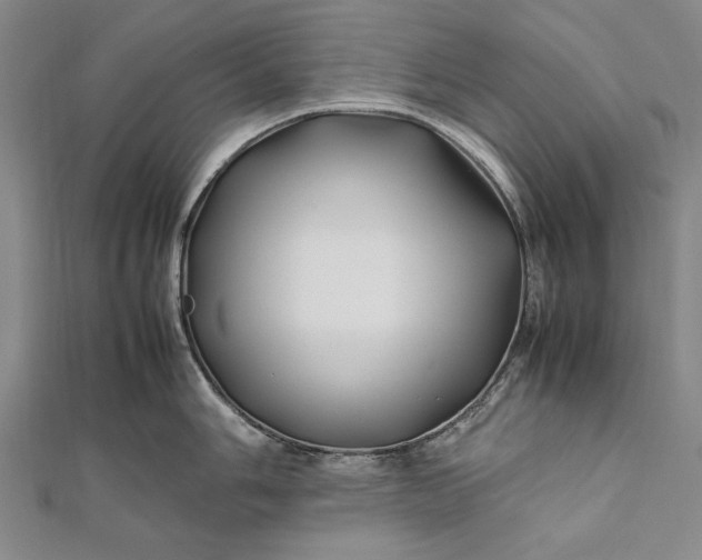 X0000112371006200908271314