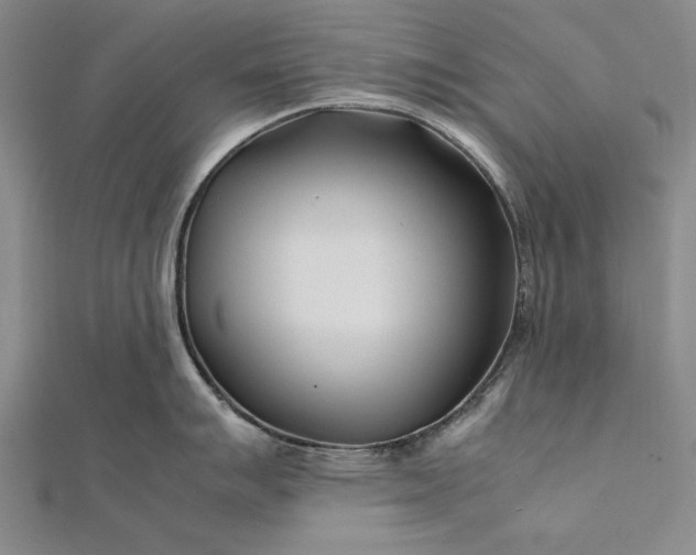 X0000112371007200908271314