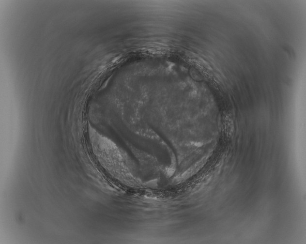 X0000112371009200908271313