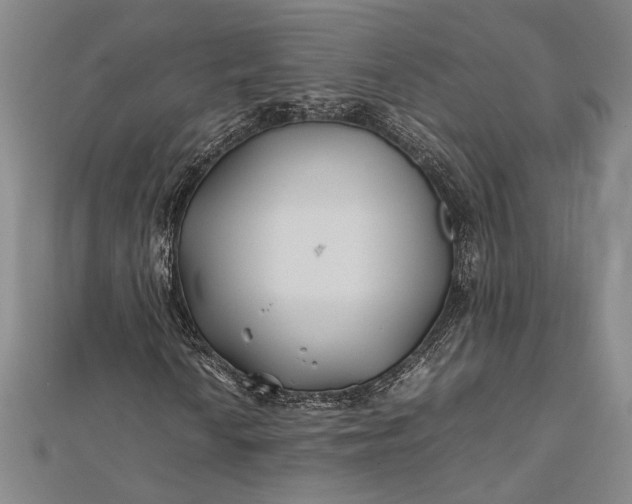 X0000112371010200908271313