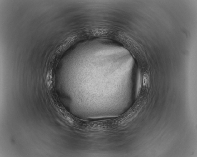 X0000112371011200908271313