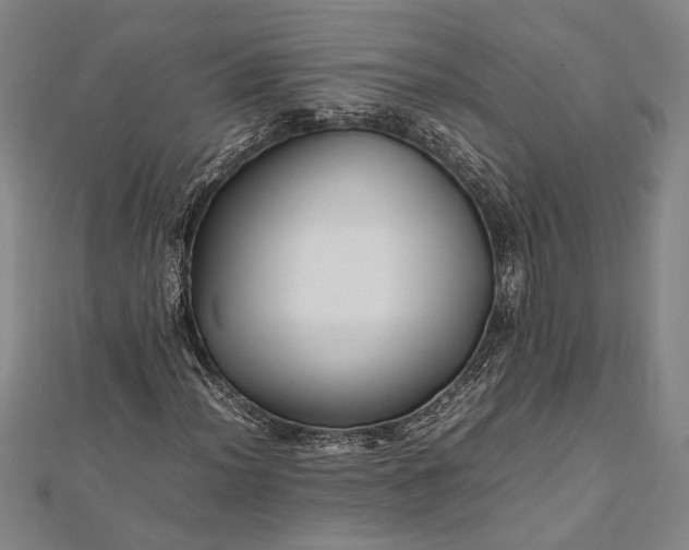 X0000112371012200908271313