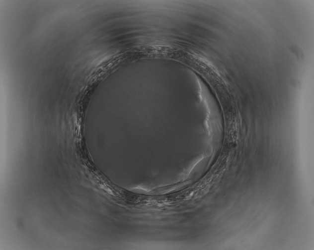 X0000112371013200908271313