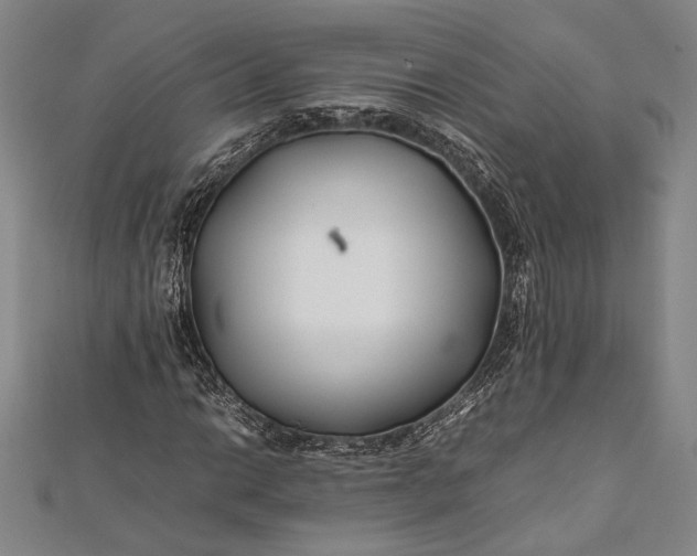 X0000112371014200908271313