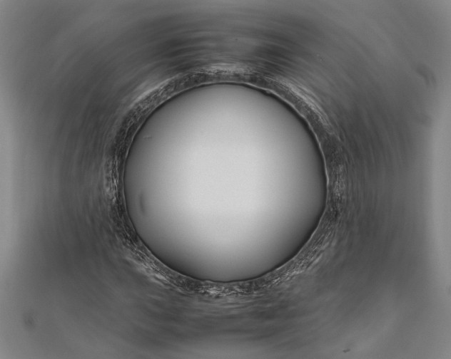 X0000112371015200908271313