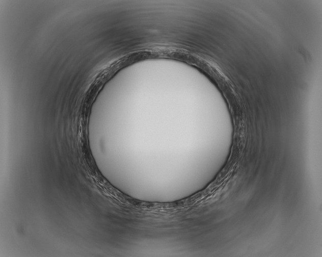 X0000112371016200908271313