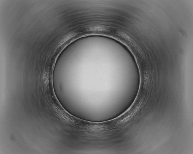 X0000112371017200908271313