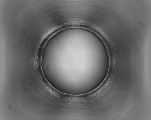 X0000112371018200908271313