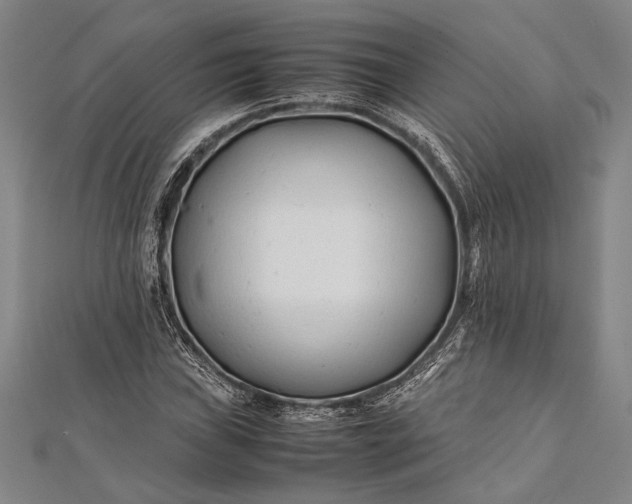 X0000112371019200908271313