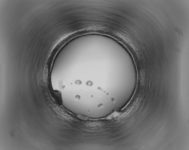 X0000112371021200908271313