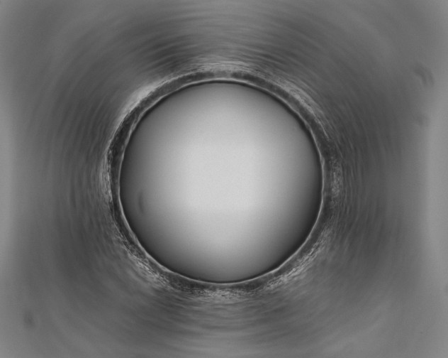 X0000112371022200908271313