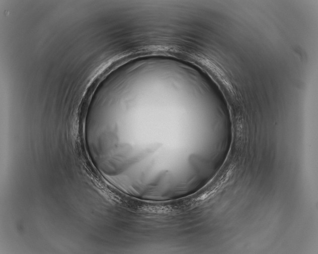 X0000112371023200908271313