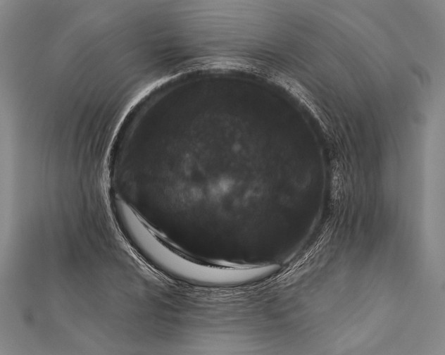 X0000112371024200908271313