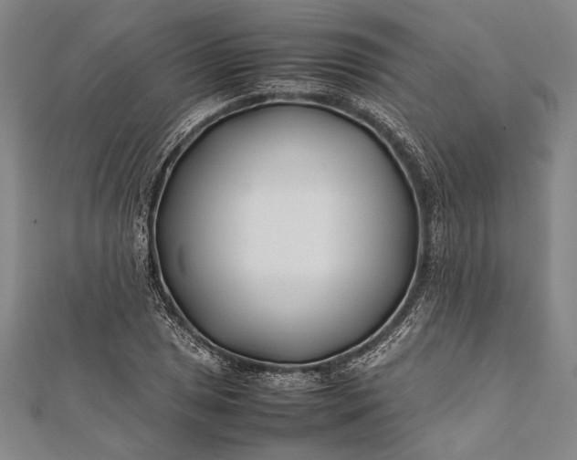 X0000112371025200908271313