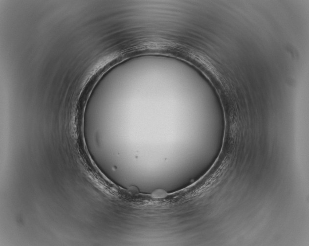 X0000112371026200908271313