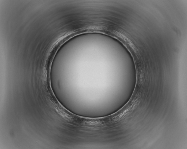 X0000112371027200908271313