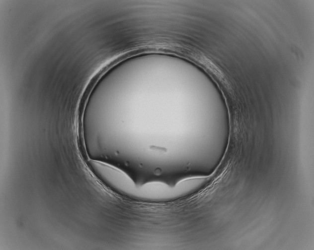 X0000112371028200908271313