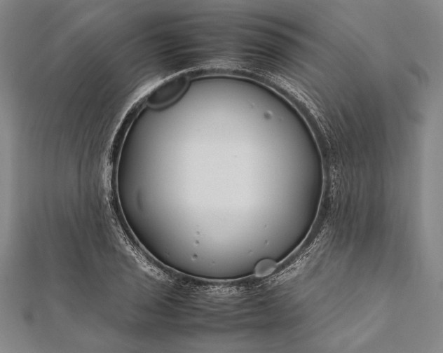 X0000112371029200908271313