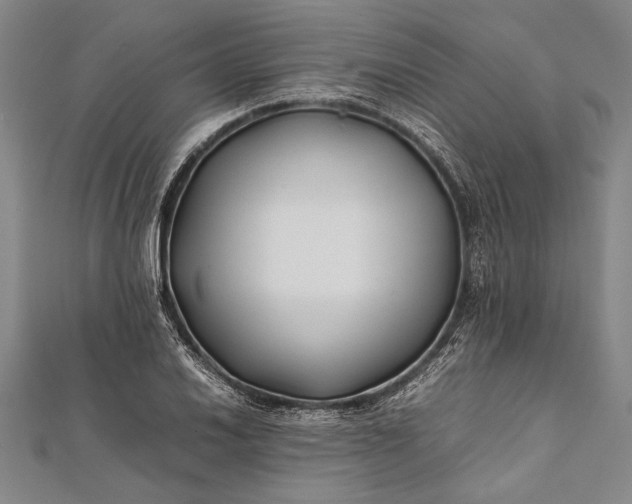 X0000112371030200908271313