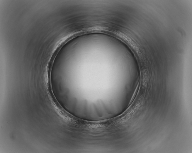 X0000112371031200908271313