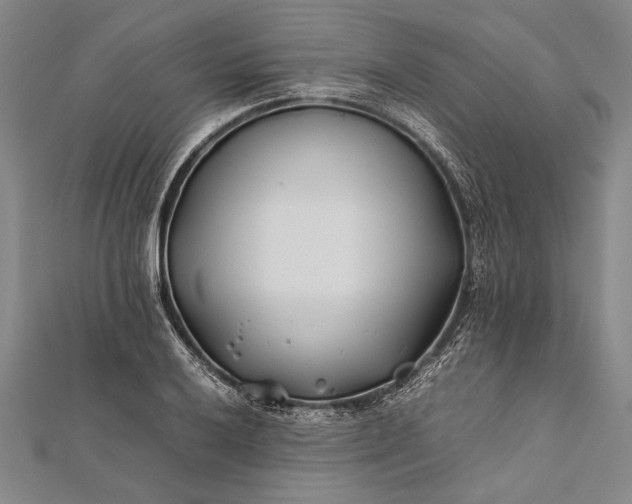 X0000112371032200908271313