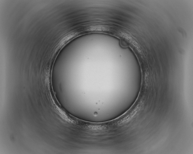 X0000112371033200908271313